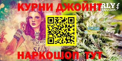 крисы Нальчик